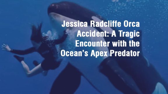 Jessica Radcliffe Orca Accident: A Tragic Encounter with the Ocean’s Apex Predator
